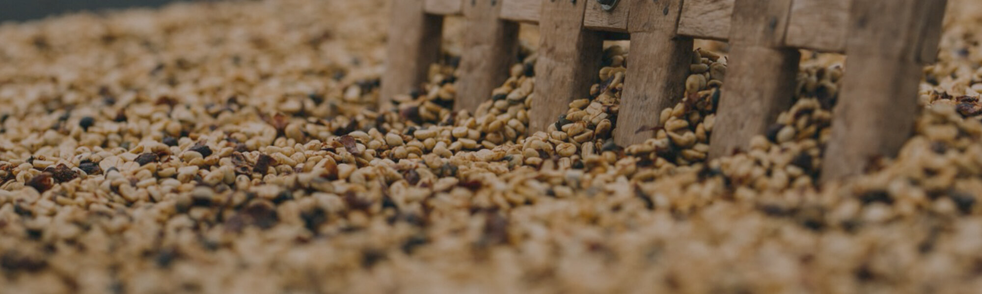 BEAN TO CUP