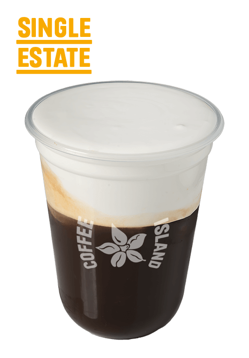 Freddo Cappuccino Classic Crema Single Estate