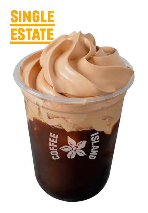 Freddo Cappuccino Praline Crema Single Estate