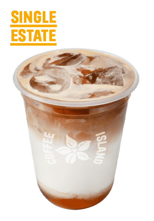 Iced Latte Salted Caramel Single Estate