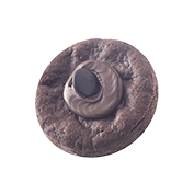 Soft cookie πραλίνα