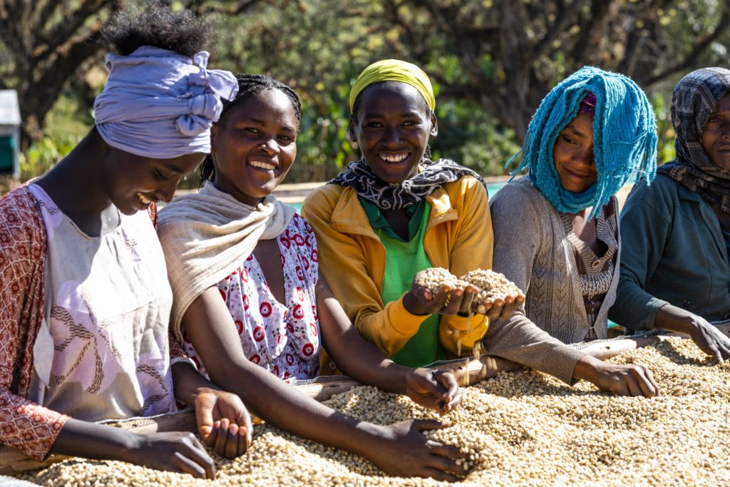 Ethiopia Guji Watercare (Χύμα)