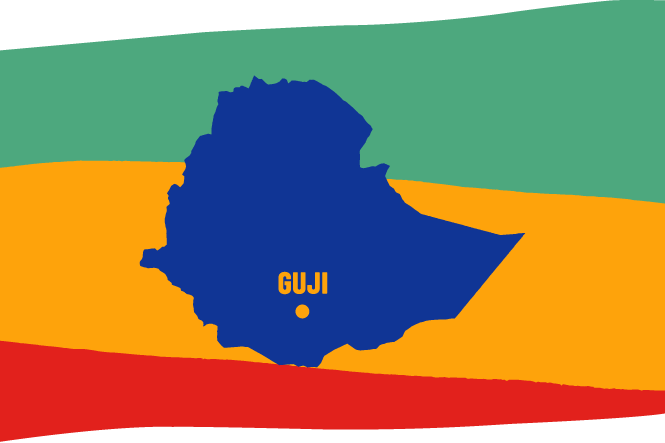 Ethiopia Guji Watercare Συσκευασμένος 200γρ