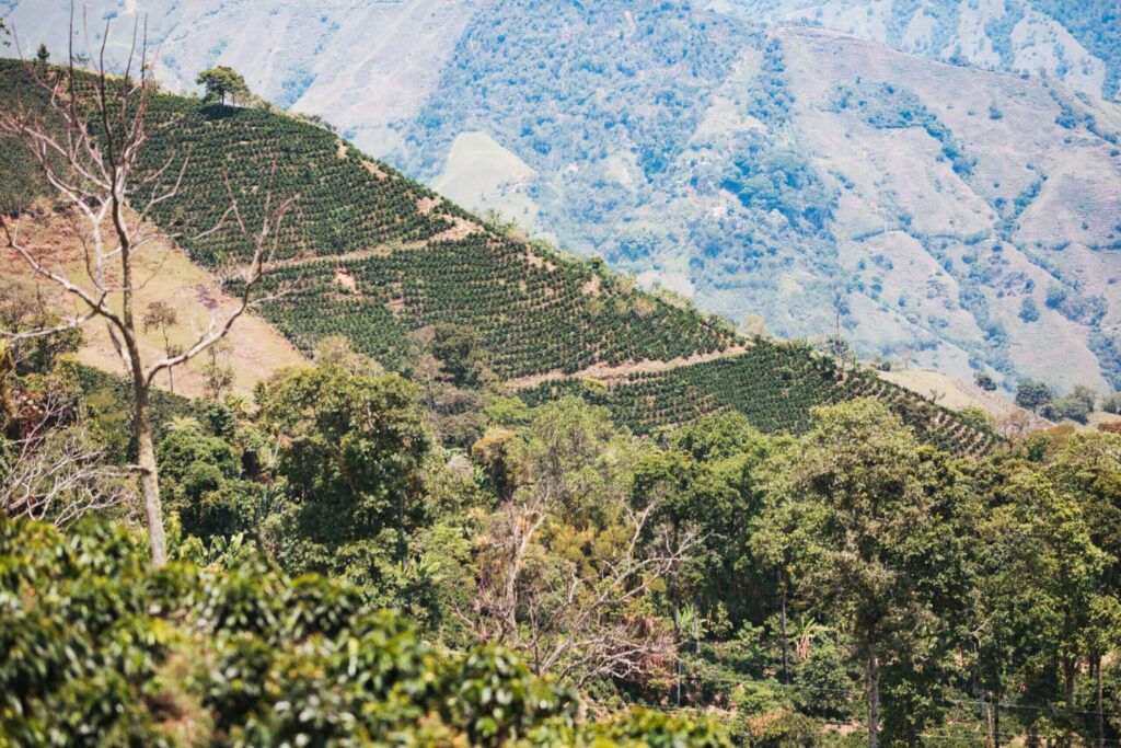 colombia landscap